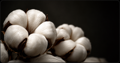 FIBER SELECTION