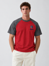 Rielon Premium Raglan Sleeve Crew Neck T-Shirt